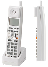 m.* 値段交渉可能 NTT西日本】SmartNetcommunity αZX Home（情報機器） - 法人